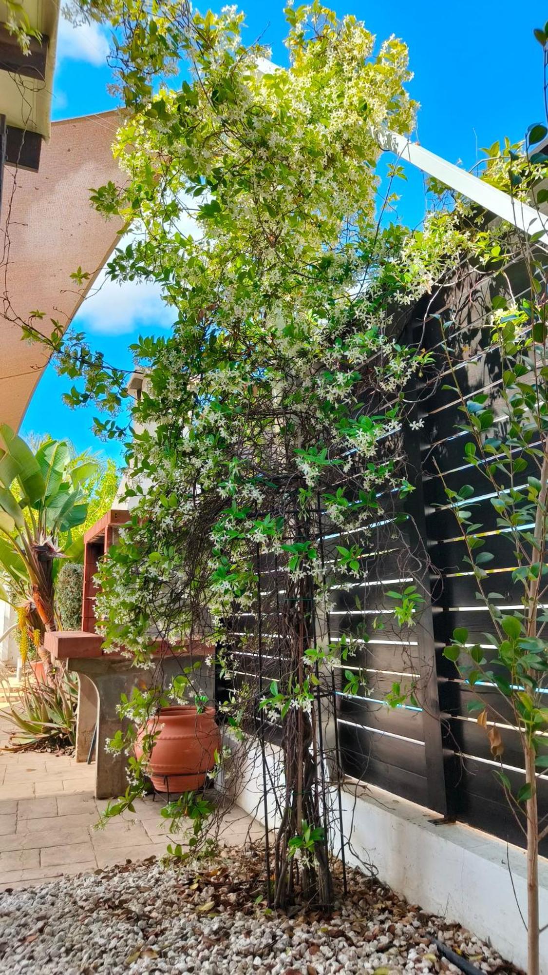 Cy-Blue Villa Protaras Dış mekan fotoğraf